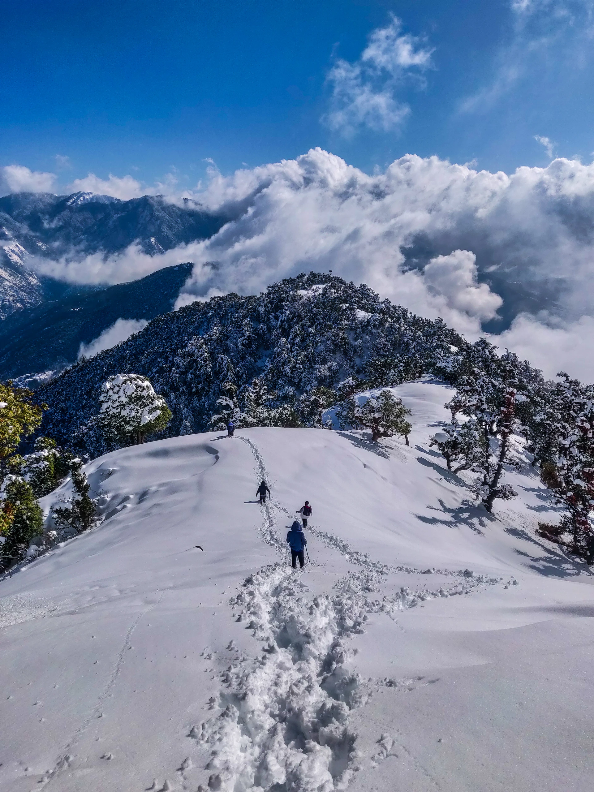 Shimla & Manali Tour